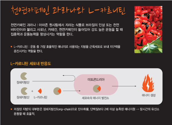 260-image-02-29aa2c46-990503889_14629cc9_caffein1.png