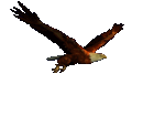 642-image-01-ae83c943-237045728_55af2a2b_1890190012_26e7c560_1889257019_cc42c9a6_25eb258f258525ec2588259825eb25a625ac25eb_fuji002.gif