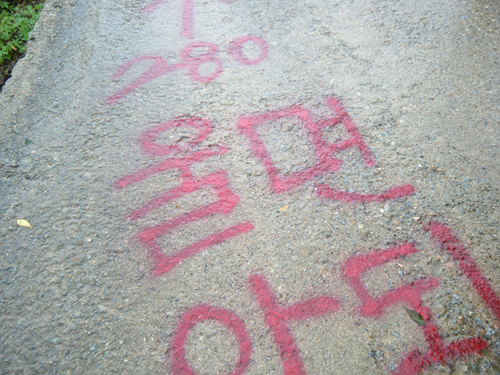 4360-62d3b6c7-1889530382_356439af_DSCF0556.jpg